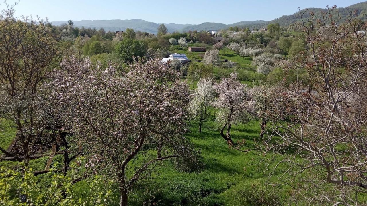 Bat'Kivska Hata Stari Kuty Buitenkant foto
