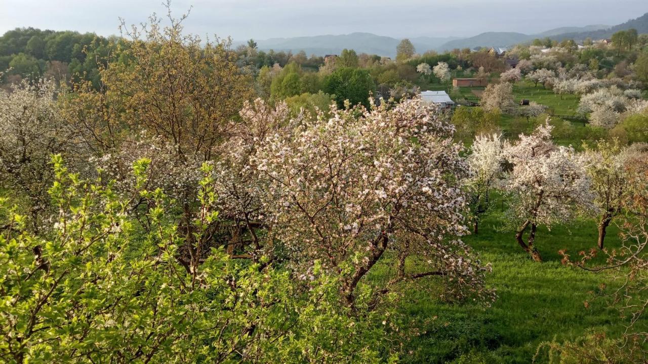 Bat'Kivska Hata Stari Kuty Buitenkant foto
