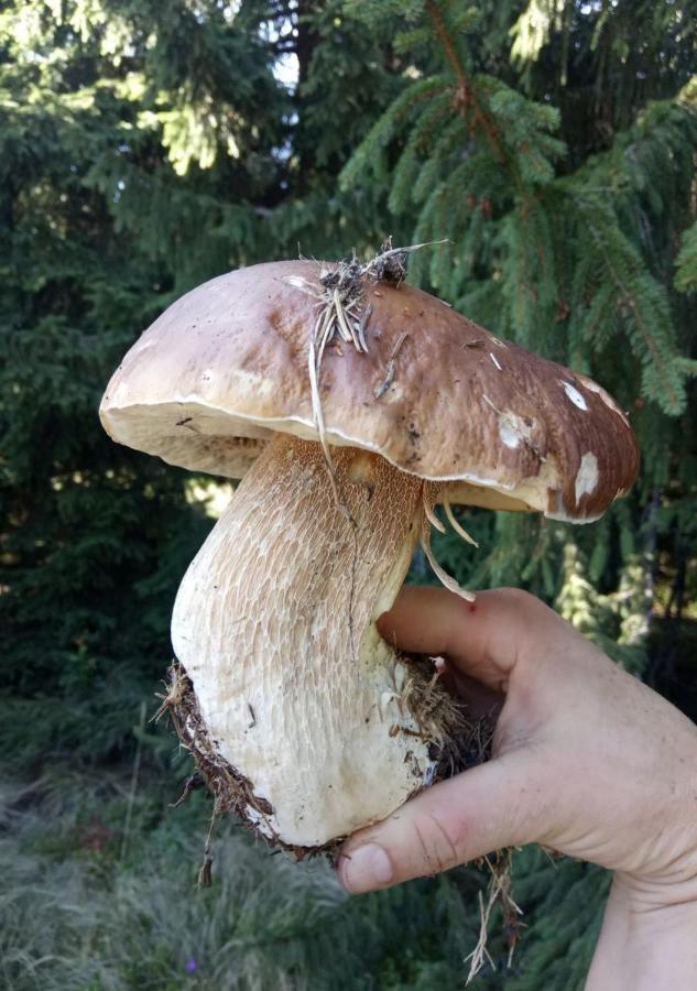 Bat'Kivska Hata Stari Kuty Buitenkant foto