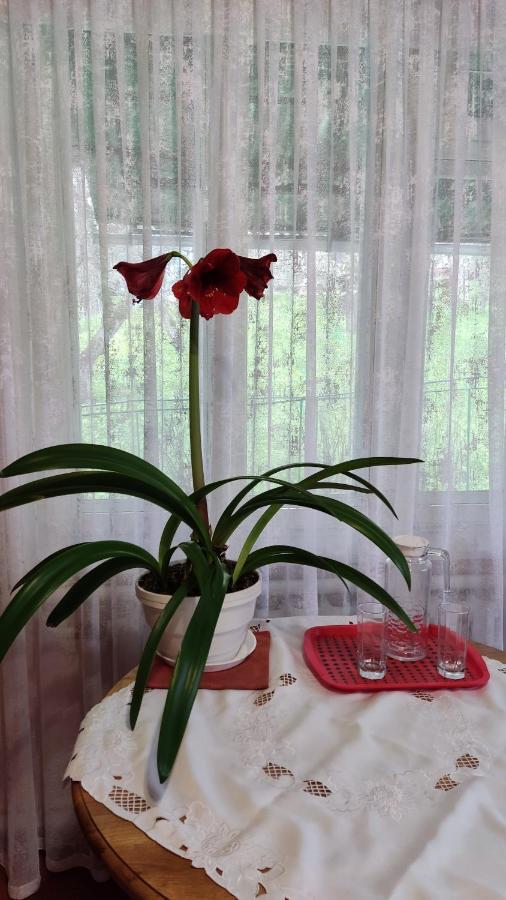Bat'Kivska Hata Stari Kuty Buitenkant foto